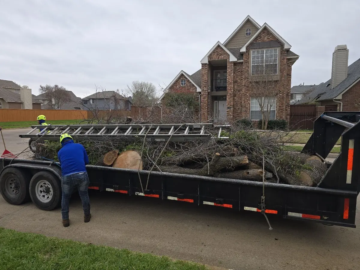 Expert Tree Fertilization with proper safety equipment in Imlay City